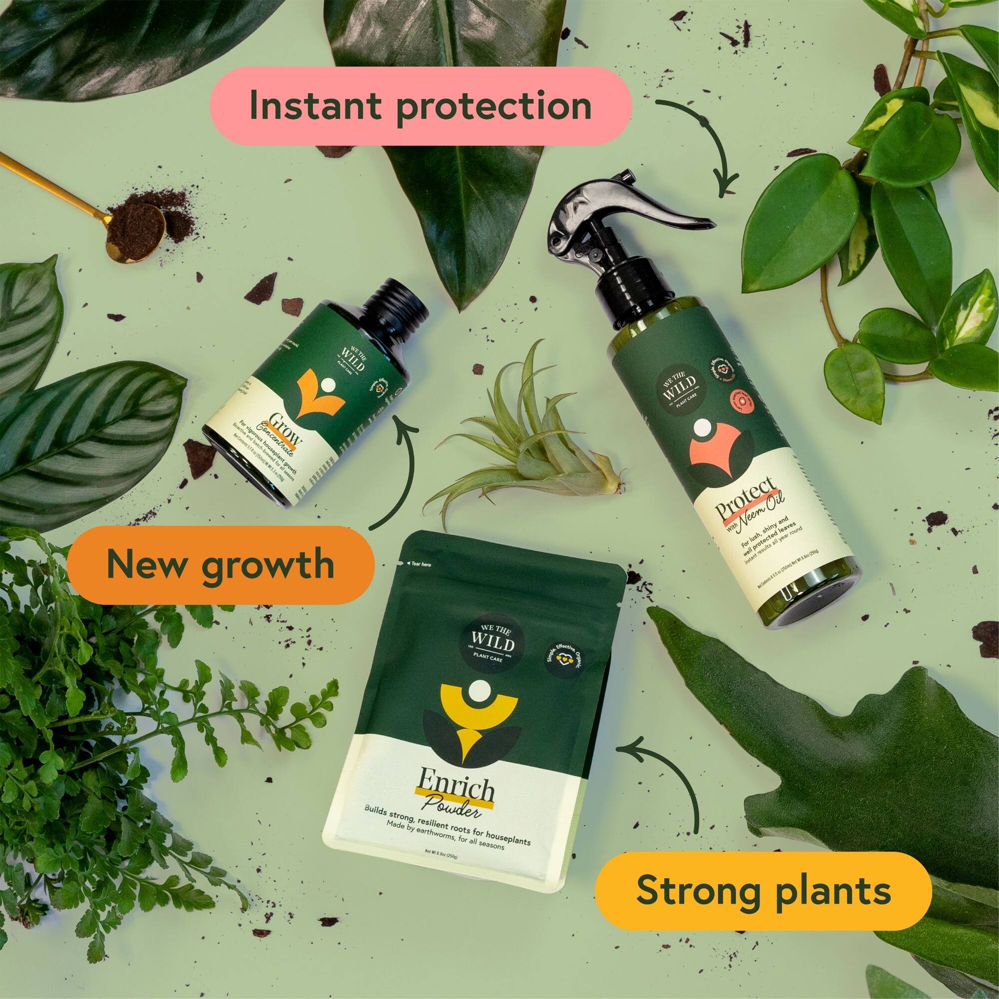 We The Wild™ Houseplant Essentials Kit Organic Easy 3-Step Care